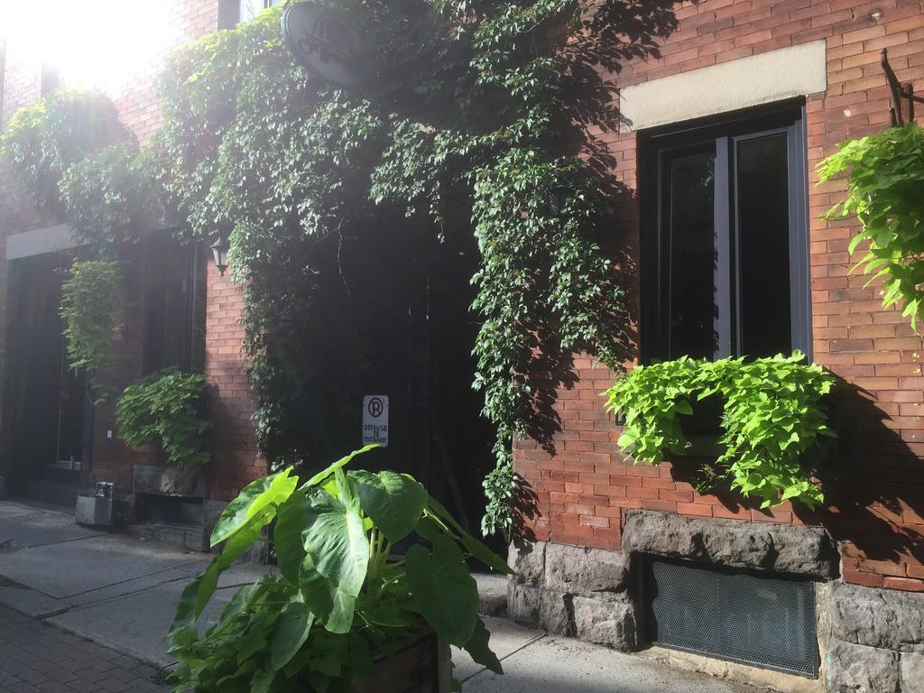 Sir Montcalm Gite B&B Montreal Zewnętrze zdjęcie